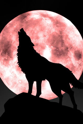 Иван Аручак