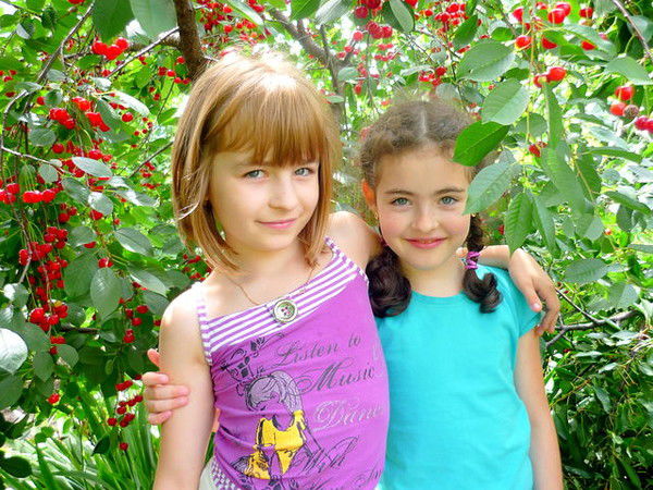 Любовь Шова