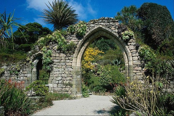 Свтлана Самбур