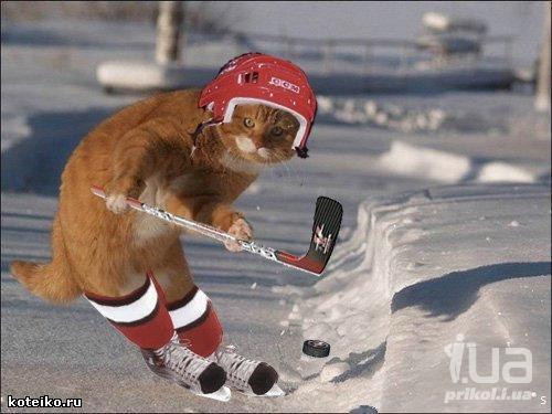 Владислав Игнатьев