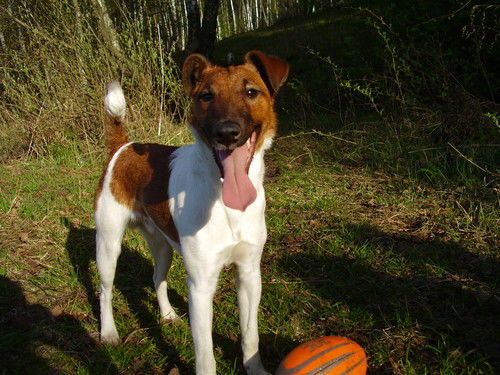 Эдуард Скорняков