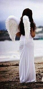 Ж Е Н Е Ч К А