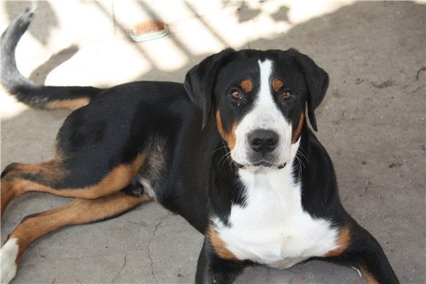 Наталя Замужняя