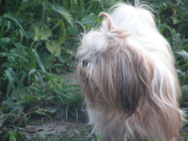 Владимир Ануфриев