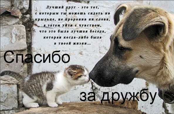 Валентина Дюбко