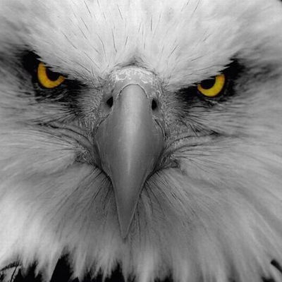 Ридаль Галеев