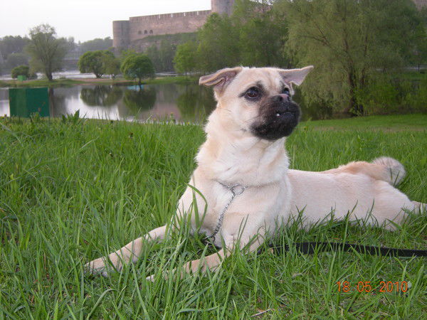 Ирина Осколкова