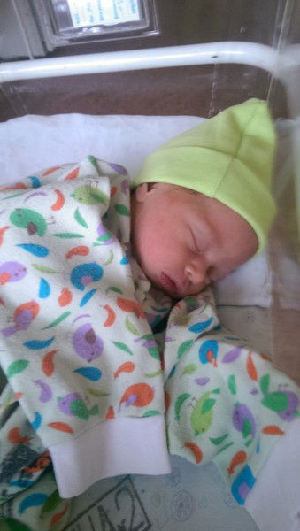 Василий Махорин