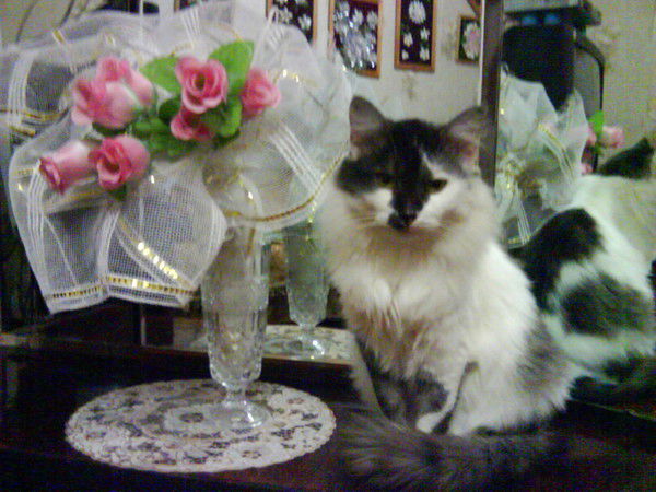 Валентина Кузнецова