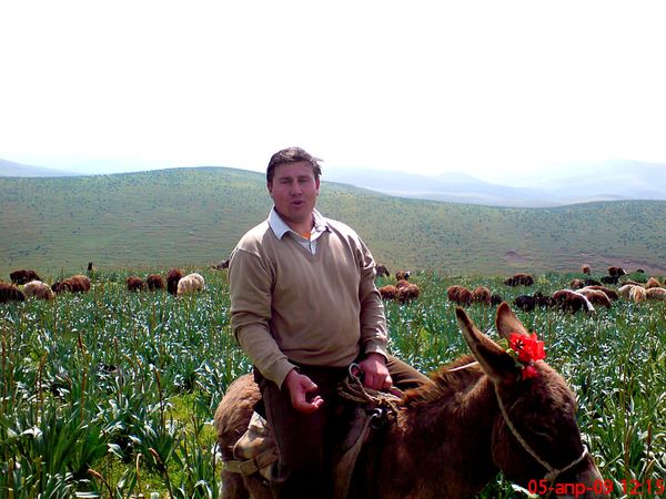 Алишер Кадиров