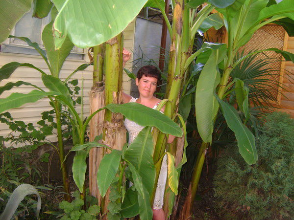 Мария Суслина