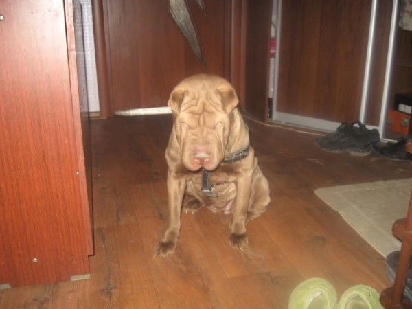 Григорий Байгот