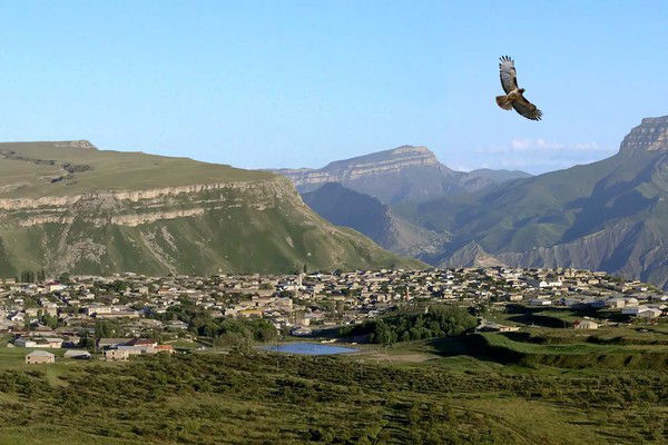 Магомед Ниматулаев