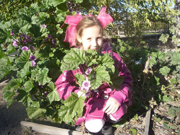 Ксения Калашникова