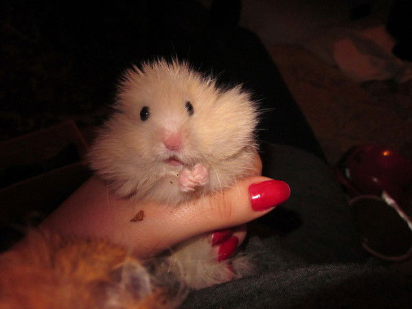 Неизвестно Неизвестно