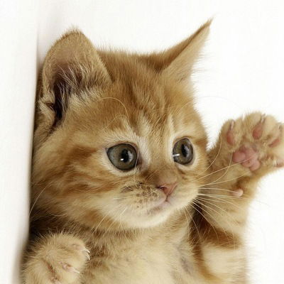 Аркадий Климин