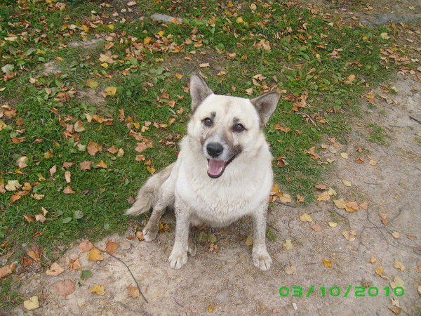 Юрий Залевский