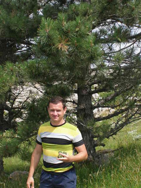 Александр Огненко