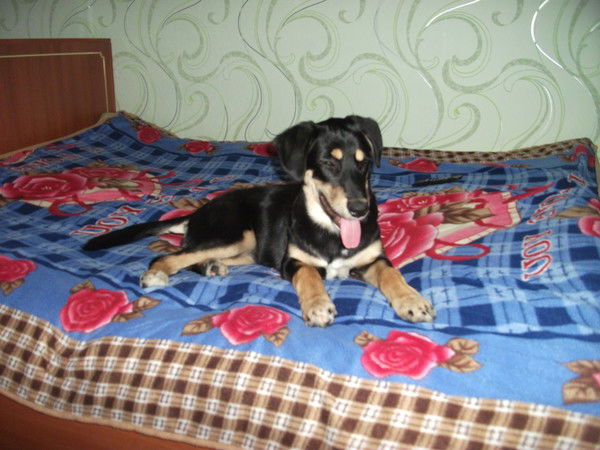 Юля Матросова