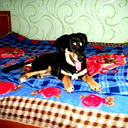 Юля Матросова