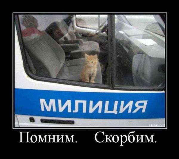 Юлия Трофимова