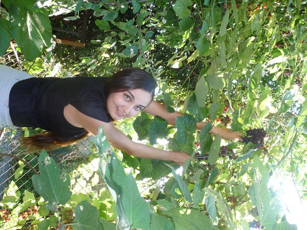 Евгения Орлова