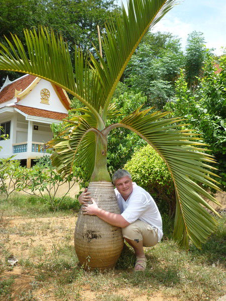 Николай Бородин