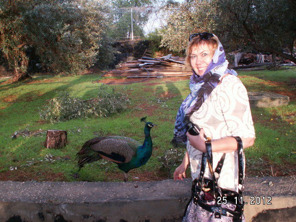 Марина Козина