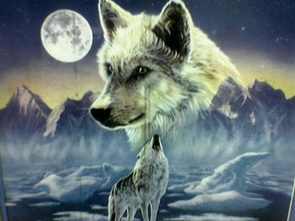 Тимур Кусайнов