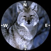 Степан Василишин