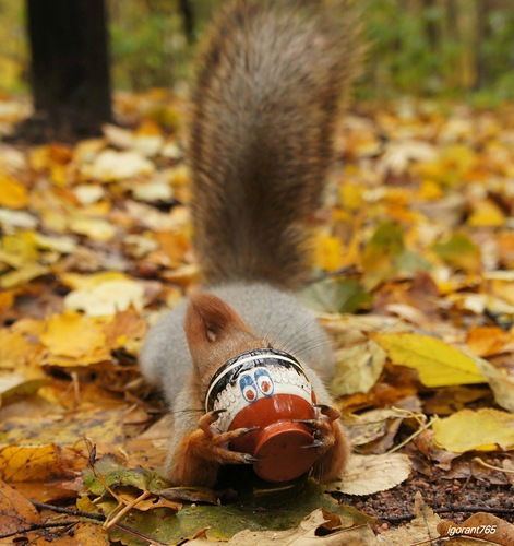 Злата Золотая