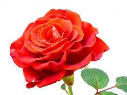 Лавренчук Лавренчук