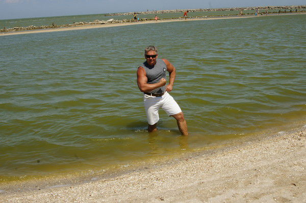 Валерий Палонский