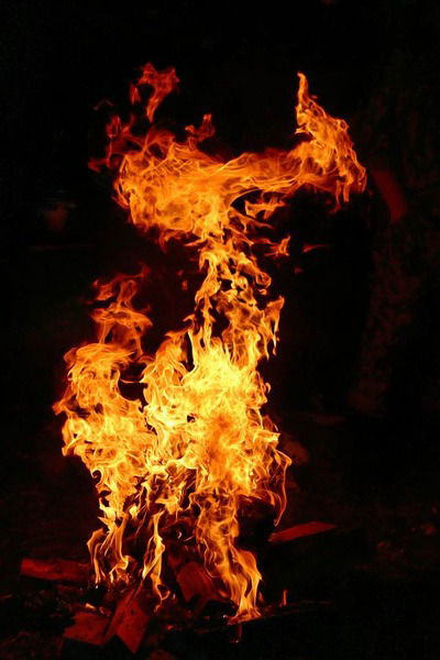 Вероника Тарасова