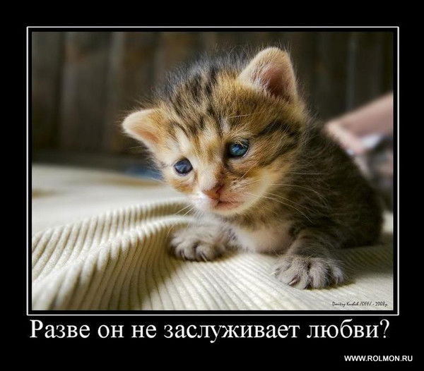 Быстрицкая Дарья