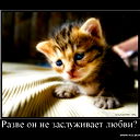 Быстрицкая Дарья