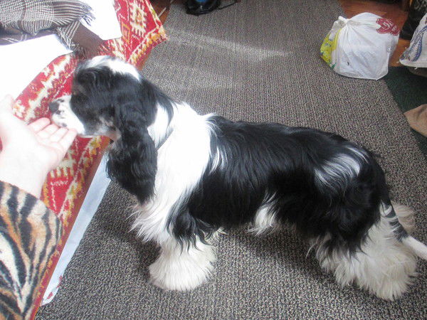 Ліна Вислоцька