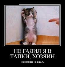 Петя Малков