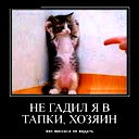 Петя Малков