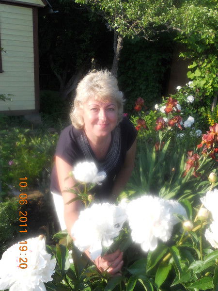 Елена Тверскова