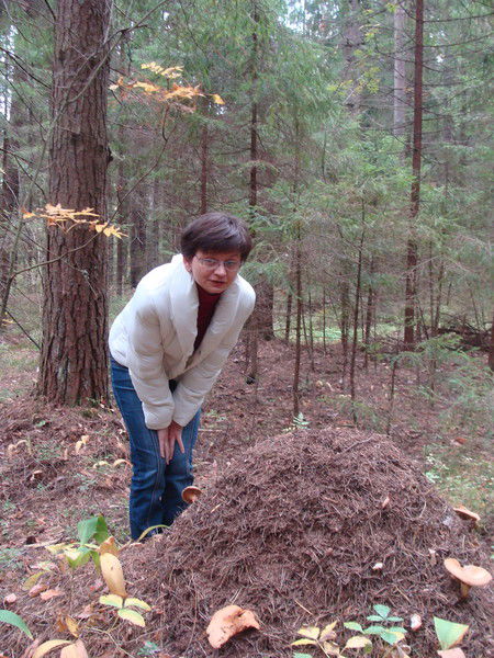 Ольга Замулина