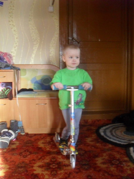 Елена Стулова