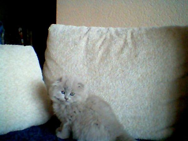 Светлана Сигитова