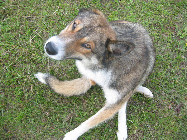 Ольга Астахова