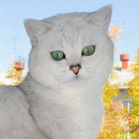 Наталья Орлова