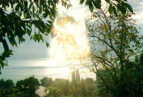 Елена Романенко