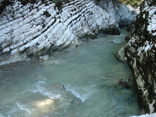 Максим Сушков