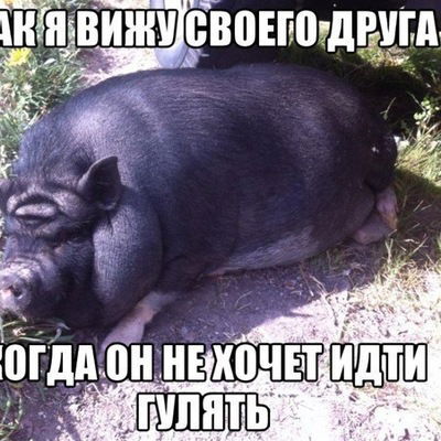 Егор Анисимов