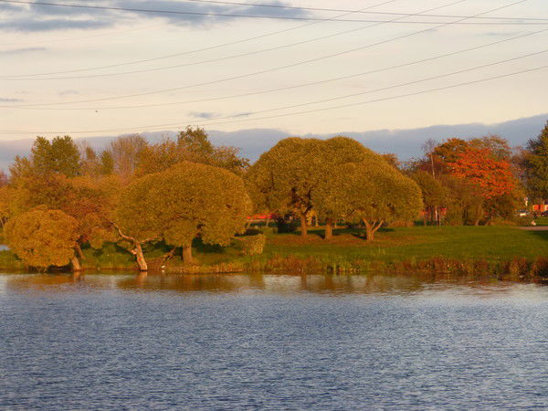 Алексей Болинов