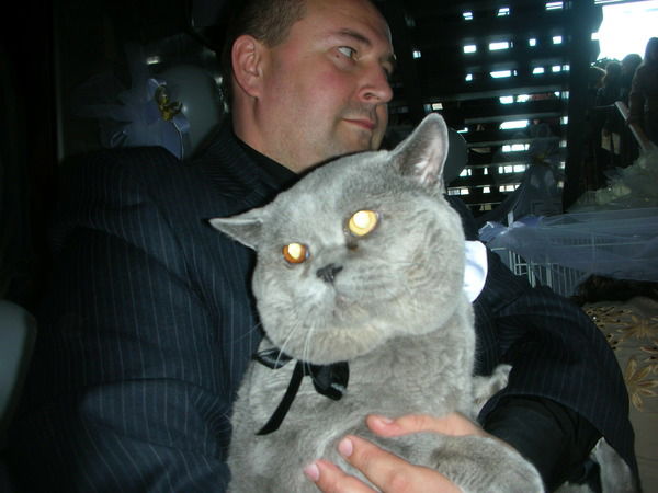 Михаил Алиев